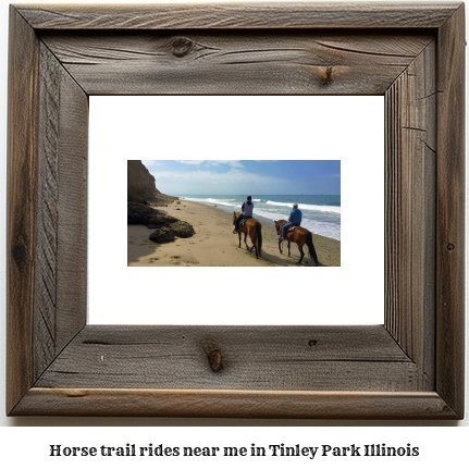 horse trail rides near me in Tinley Park, Illinois